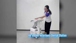 Unidad Dental veterinaria portátil con compresor de aire incorporado, escalador ultrasónico, luz de curado LED alta