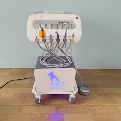 Uso de mascotas Máquina de tratamiento dental portátil de diseño único Veterinario coche dental móvil