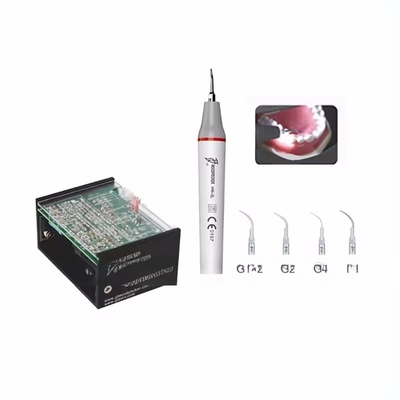 Listo para enviar el pájaro leñoso LED N2 Dental Ultrasonido Scaler para limpieza dental