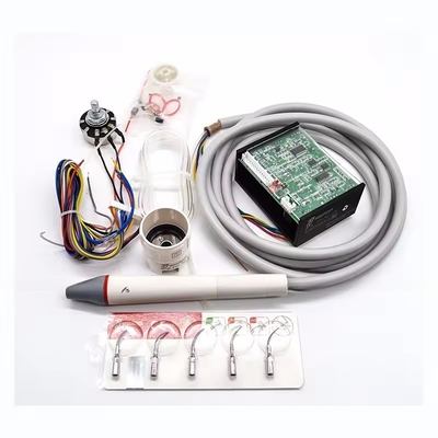 Listo para enviar el pájaro leñoso LED N2 Dental Ultrasonido Scaler para limpieza dental