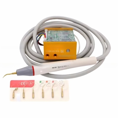 El pájaro leñador N3 LED limpia los dientes equipo de ultrasonido de la escala dental con 6 consejos