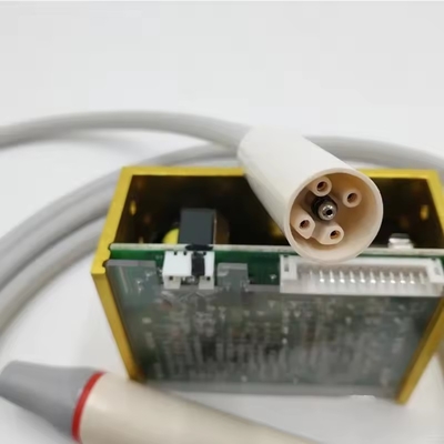 El pájaro leñador N3 LED limpia los dientes equipo de ultrasonido de la escala dental con 6 consejos