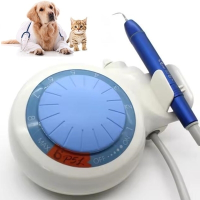 Dispositivo de limpieza dental de dientes de ultrasonido Dental Scaler LED Mascotas Dental Scaler ultrasónico