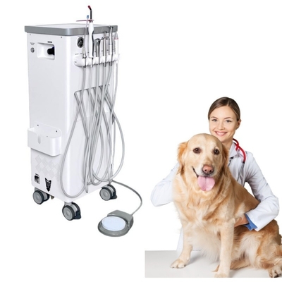 Máquina de tratamiento de dientes de mascotas mover a voluntad veterinario utilizar unidad de tratamiento dental de mascotas con compresor