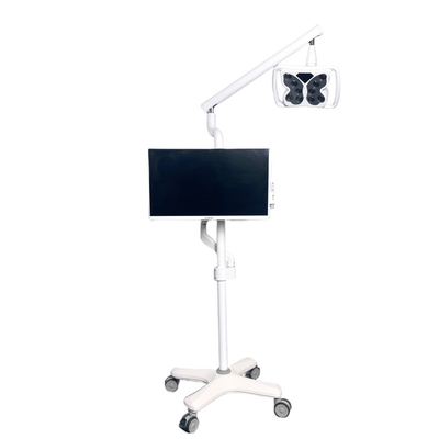 4 Ruedas universales Sistema de blanqueamiento de dientes de luz fría en forma de mariposa Equipo de blanqueamiento de dientes