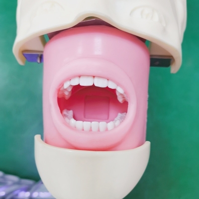 Estudiantes profesionales de odontología Modelo de capacitación de simulador Ciencias médicas Modelo de cabeza fantasma dental