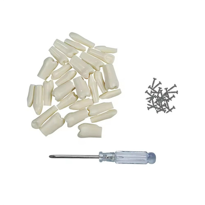 32pcs / Set Dental Typodont Remplazo de dientes Dental Estudiante Práctica Herramientas Dureza Dientes de resina
