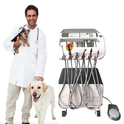 Equipo dental veterinario Máquina de tratamiento de dientes de mascotas Moverse a voluntad de veterinario Utilice unidad de tratamiento dental de mascotas con compresor