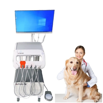 Camión móvil dental Camión móvil veterinario 550W Camión médico Cuidado dental de mascotas Unidad de tratamiento dental de uso veterinario