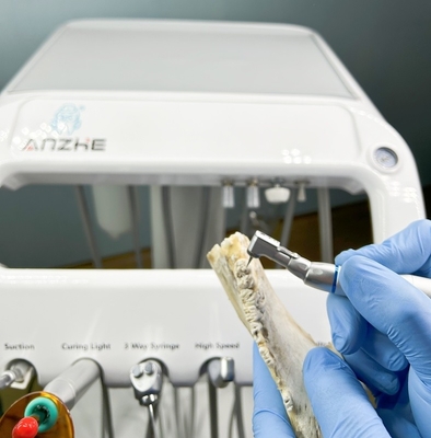 Fabrica dental Equipo de terapia de dientes para mascotas con compresor de aire 220V Unidad dental portátil veterinaria estándar de la UE