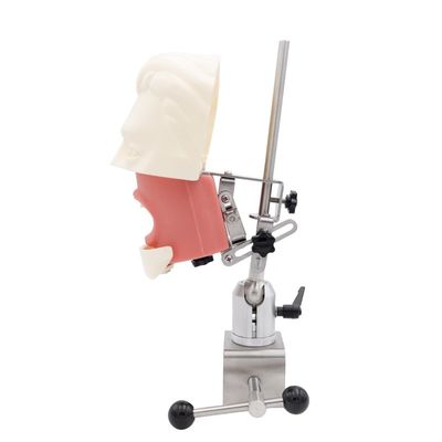 Unidad de educación de simuladores dentales Escuela dental Sistema de práctica de simulación de implantes dentales Cabeza fantasma