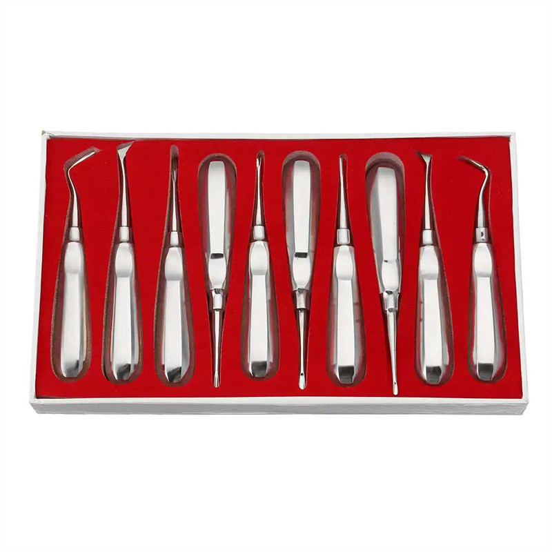 10pcs Kit de ascensor dental Dentista Herramientas quirúrgicas Elevador de raíz dental de acero inoxidable