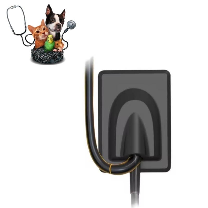 Equipo dental veterinario Sistema de imagen digital de rayos X Dientes de mascota Sensor de rayos X RVG