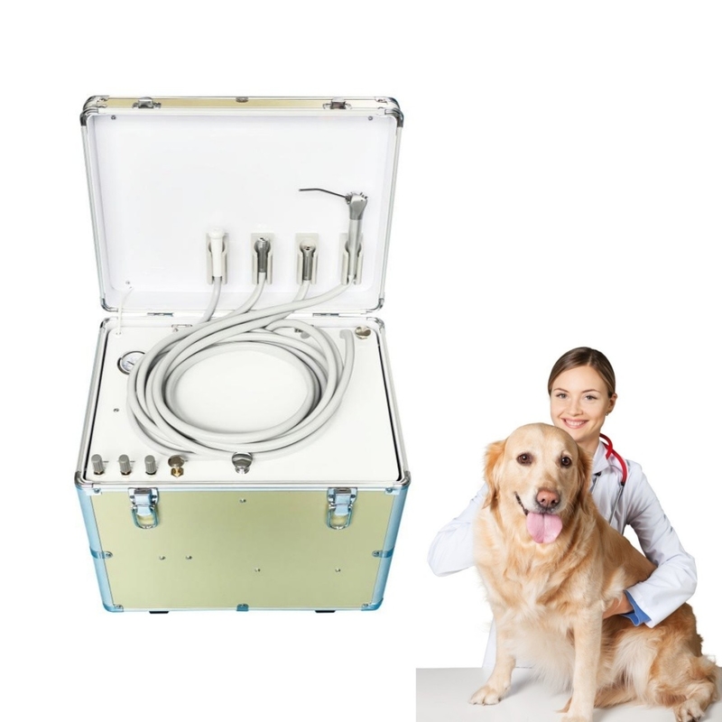 Silent Veterinario Utilice unidad de tratamiento dental móvil Diseño de maleta fácil de llevar mascotas Equipo de tratamiento dental Unidad dental portátil