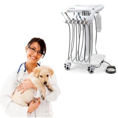 Un buen precio. 1 año de garantía Unidad de tratamiento dental de veterinario de diseño único Máquina de terapia dental móvil en línea