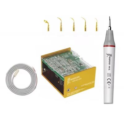 Un buen precio. El pájaro leñador N3 LED limpia los dientes equipo de ultrasonido de la escala dental con 6 consejos en línea