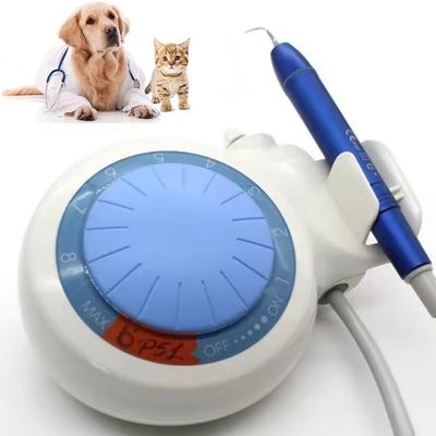 Un buen precio. Dispositivo de limpieza dental de dientes de ultrasonido Dental Scaler LED Mascotas Dental Scaler ultrasónico en línea