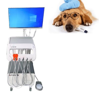 Un buen precio. Unidad de tratamiento dental quirúrgico veterinario con computadora y compresor de aire incorporado en línea