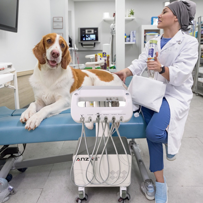 Fábrica de equipos veterinarios de Foshan Unidad móvil de entrega dental Veterinario usa un carrito de tratamiento dental para animales pequeños