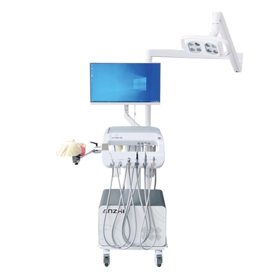 Solución de formación de estudiantes de odontología Equipo de la escuela dental Dental Simulador dental de cabeza fantasma para la formación