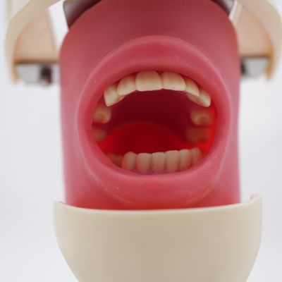 Un buen precio. Enseñanza dental Sistema de simulador dental modelo de la cabeza fantasma para la formación del nuevo implante dental cabeza simulador en línea