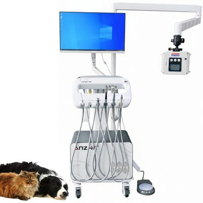 Fabrica Directamente Veterinario Mascota Dental Camión Móvil con Unidad de Rayos X Camión de Tratamiento Dental Veterinario Portátil Camión Dental OEM