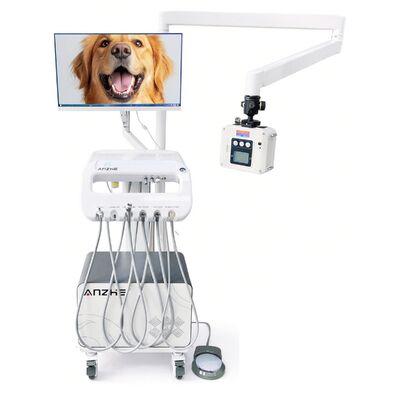Un buen precio. Fabrica Directamente Veterinario Mascota Dental Camión Móvil con Unidad de Rayos X Camión de Tratamiento Dental Veterinario Portátil Camión Dental OEM en línea