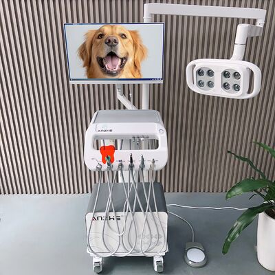 Máquina de tratamiento dental de mascotas todo en uno Unidad dental veterinaria móvil con lámpara LED PC Carrito dental veterinario móvil para el cuidado oral del perro