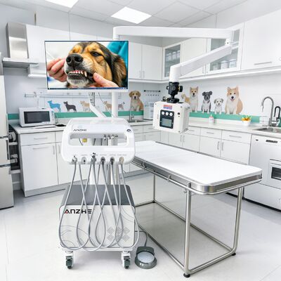 Un buen precio. Fabrica Directamente Veterinario Mascota Dental Camión Móvil con Unidad de Rayos X Camión de Tratamiento Dental Veterinario Portátil Camión Dental OEM en línea