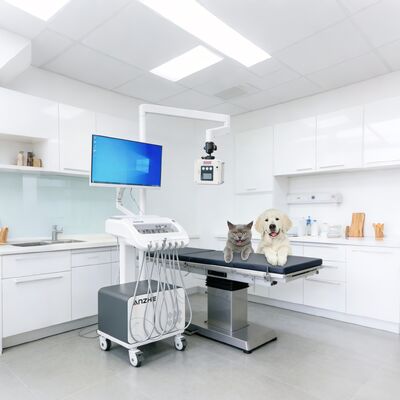 Un buen precio. Unidad de Terapia Dental Portátil con Rayos X Integrado y PC Carrito Dental Móvil con Compresor de Aire Sistema de Succión Unidad de Suministro Dental para Uso en Clínica y Extramuros en línea