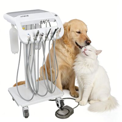 Carro Dental Veterinario Unidad Dental Veterinaria Portátil para Equipos de Limpieza Dental de Perros y Gatos