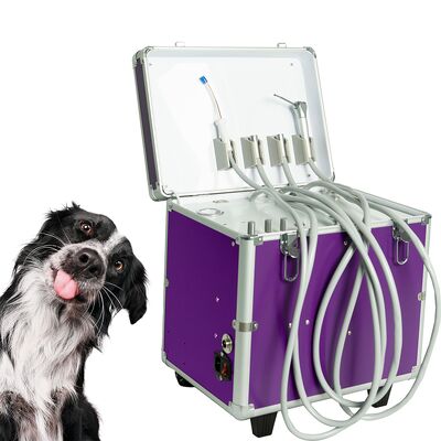 Un buen precio. Sistema de Cuidado Dental Integral para Mascotas con Compresor de Aire, Tubos de Pieza de Mano y Succión Potente para Clínicas Veterinarias Móviles en línea