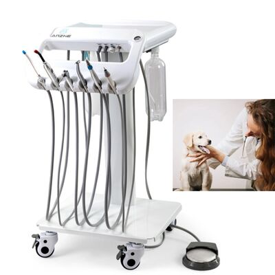 Un buen precio. Máquina Dental Veterinaria Portátil con Potencia de 550W, Tanque de Aire de Acero Inoxidable de 10L y Nivel de Ruido de 38DB para Terapia Dental Móvil en línea