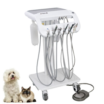 Un buen precio. Carro de tratamiento dental para perros y gatos. Carro de tratamiento dental para mascotas móviles con escalador ultrasónico, sistema de succión y luz de curación LED. Equipo dental veterinario OEM / ODM. en línea