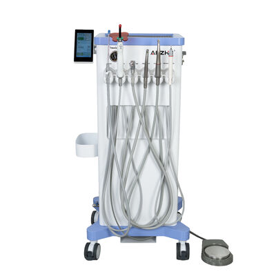 Unidad dental veterinaria portátil con compresor de aire libre de aceite de 550W 10L tanque de acero inoxidable Estación de trabajo dental de bajo ruido