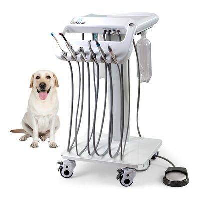 Un buen precio. Carrito Dental Veterinario Básico Portátil con 5 Tubos. Estación de Trabajo Dental Móvil para Mascotas para Clínicas Veterinarias. en línea