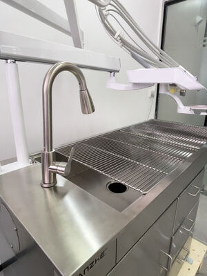 Unidad de tratamiento dental veterinario con lámpara de mariposa de blanqueamiento LED 32L compresor de aire libre de aceite de acero inoxidable Estación de trabajo dental veterinaria