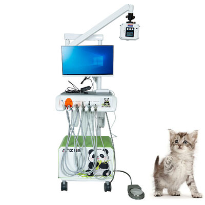 Un buen precio. Fábrica de origen Sensor Intraoral Digital Veterinario Plug-and-Play Radiografías de alta resolución totalmente equipadas para clínicas de mascotas en línea