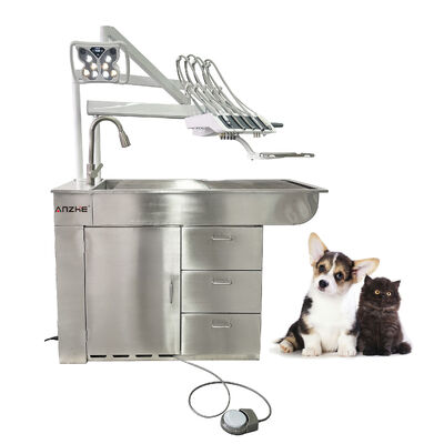 Unidad dental veterinaria directa de fábrica con lámpara de blanqueamiento LED 32L Compresor libre de aceite de acero inoxidable Todo en una estación de trabajo dental veterinaria