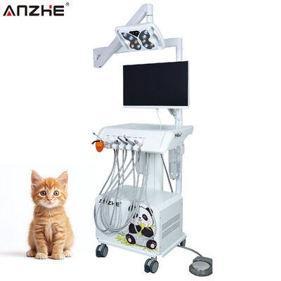Un buen precio. Unidad de tratamiento dental veterinario Sistema todo en uno con cámara intraoral HD lámpara de mariposa LED y sistema de control de ventanas para hospitales de animales en línea