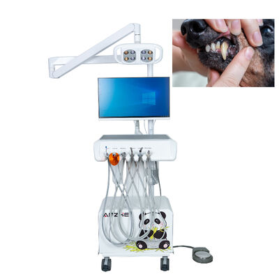 Estación de trabajo dental veterinaria con cámara intraoral HD, luz de examen LED y sistema informático incorporado para hospitales de animales