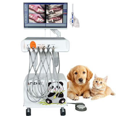 Un buen precio. Unidad dental veterinaria portátil con cámara oral HD y sistema dental integrado en un solo ordenador para clínicas de animales en línea