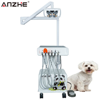 Unidad dental veterinaria portátil con lámpara LED de mariposa Compresor de aire incorporado Escalador ultrasónico Sistema de succión de luz de curación LED Estación de trabajo dental animal móvil