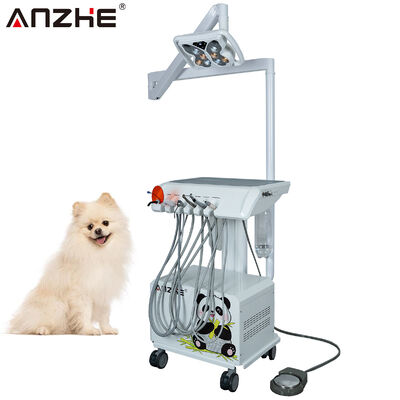 Un buen precio. Unidad dental veterinaria portátil con lámpara dental LED de mariposa incorporada en el compresor de aire Scalador de succión Luz de curación para clínicas dentales de animales en línea