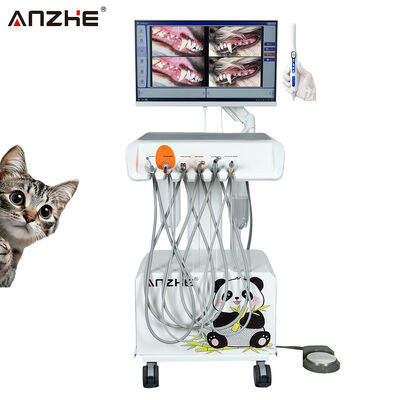 Un buen precio. Unidad Dental Veterinaria Portátil con Cámara Oral HD y Ordenador Todo en Uno con Compresor de Aire Incorporado Estación de Trabajo Dental Veterinaria para Clínicas Dentales de Animales en línea