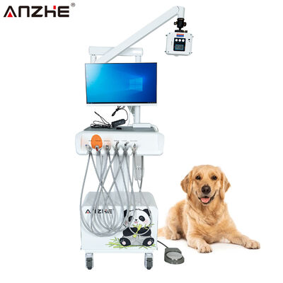 Un buen precio. Unidad de Tratamiento Dental Integrada Portátil con Cámara Oral HD, Sensor de Rayos X Digital, Estación de Trabajo de Imagen Dental Todo en Uno para Clínicas Dentales en línea