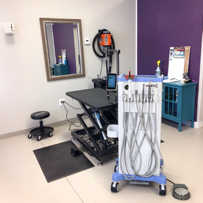 Un buen precio. Unidad dental veterinaria portátil de 550W con presión de 0,8Mpa y ruido de 38DB en línea