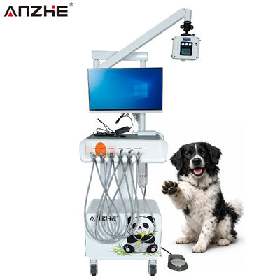 Un buen precio. Estación de trabajo dental veterinaria integrada con sensor digital de rayos X, cámara oral HD y ordenador todo en uno en línea