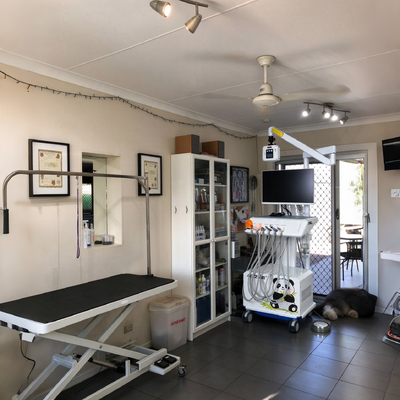 Un buen precio. Estación de trabajo dental veterinaria de 550W con presión de 0.8Mpa y ruido de 58DB para clínicas dentales de animales en línea