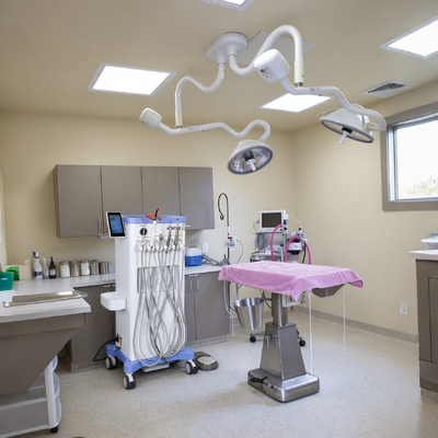 Un buen precio. Carro dental veterinario portátil de 550W con presión de 0,8Mpa y ruido de 38DB para estación de trabajo dental animal en línea